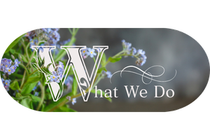 Bloom and Ink について