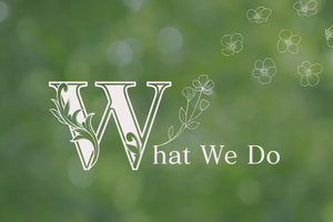 Bloom and Ink について