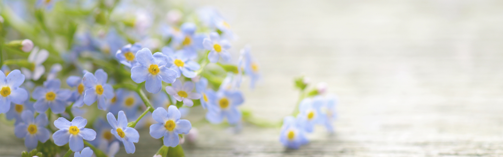 Creator of Flowers and Words.